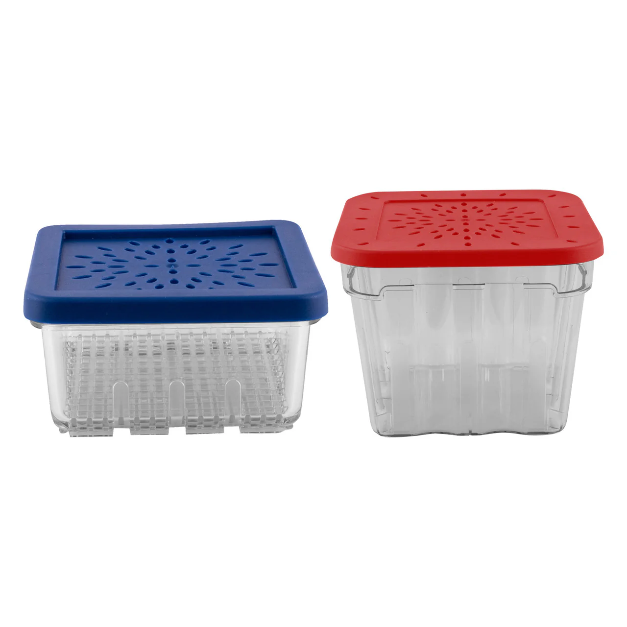 Avanti Berry Baskets 2 Piece Set Transparent plastic - 1 Liter and 300ml Capacity