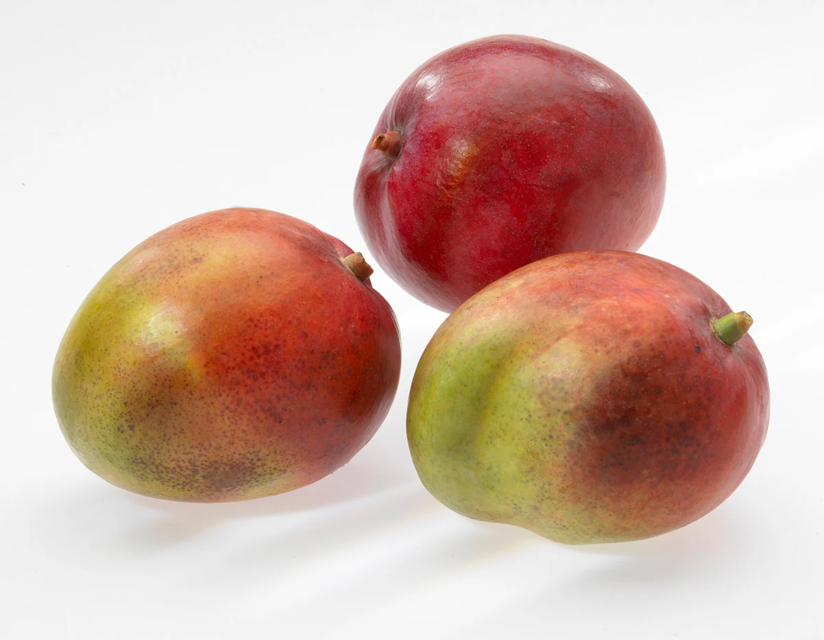 Gefu Mango Cutter PARTI - Image 3