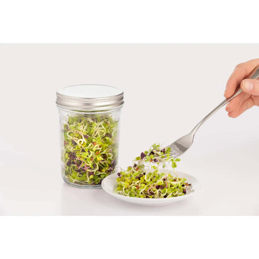 Kilner Sprouting Set, 350ml - Image 4