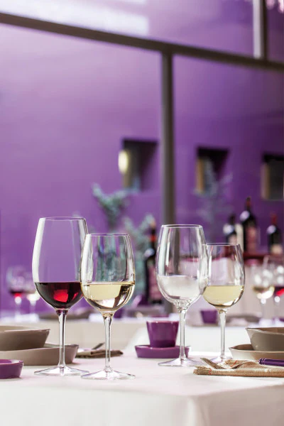 Luigi Bormioli Palace Wine - 480ml - Image 4
