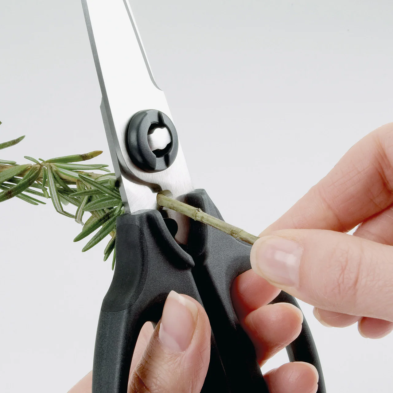 OXO Good Grips Kitchen & Herb Scissors - Image 4