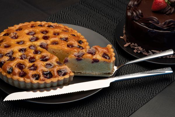 Splayd Cake Knife & Cake Server Set/2 - Image 3