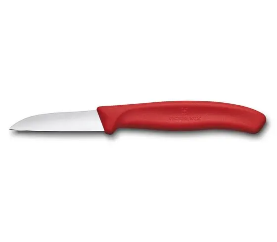 Victorinox Paring Knife with Straight Edge